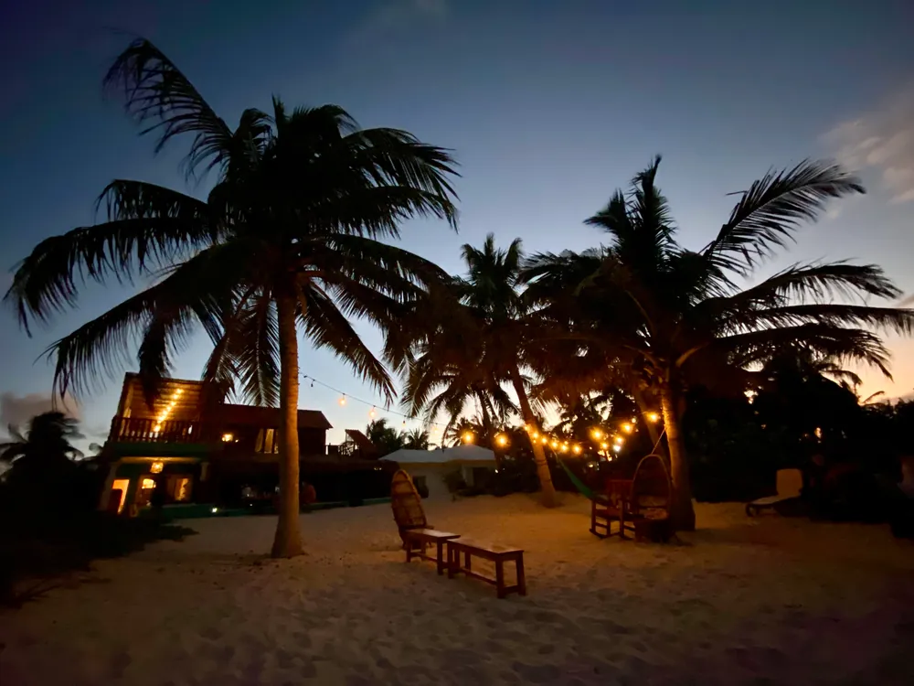 Palmen und Lichterketten an einem Strand in der Abenddämmerung