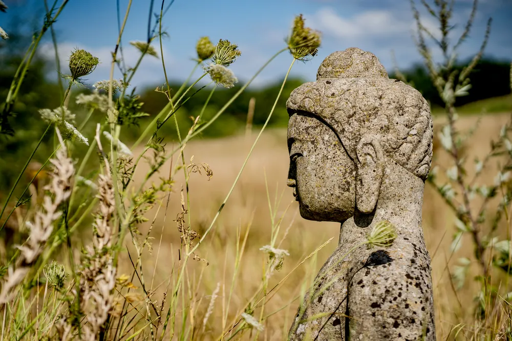 Steinerne Buddha-Figur zwischen Gräsern und Wildblumen