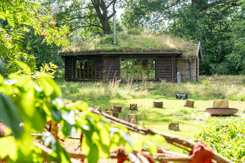 Holzhaus mit Grasdach zwischen Bäumen, davor eine Wiese