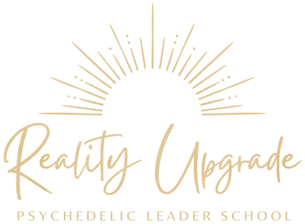 Reality Upgrade, Psychedelic Leader School