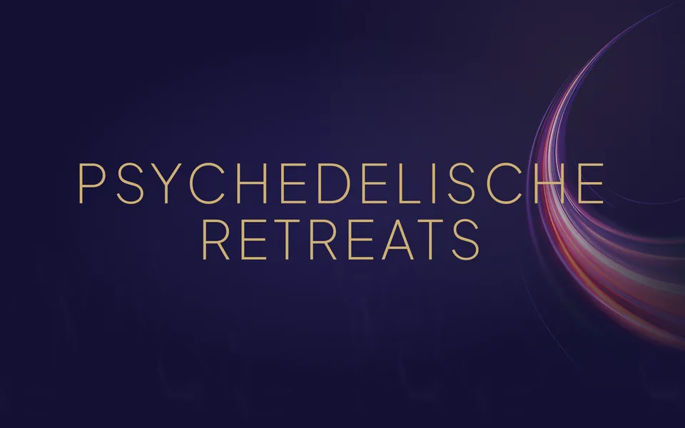 Schriftzug Psychedelische Retreats vor einem Lichtbogen auf dunklem Violett